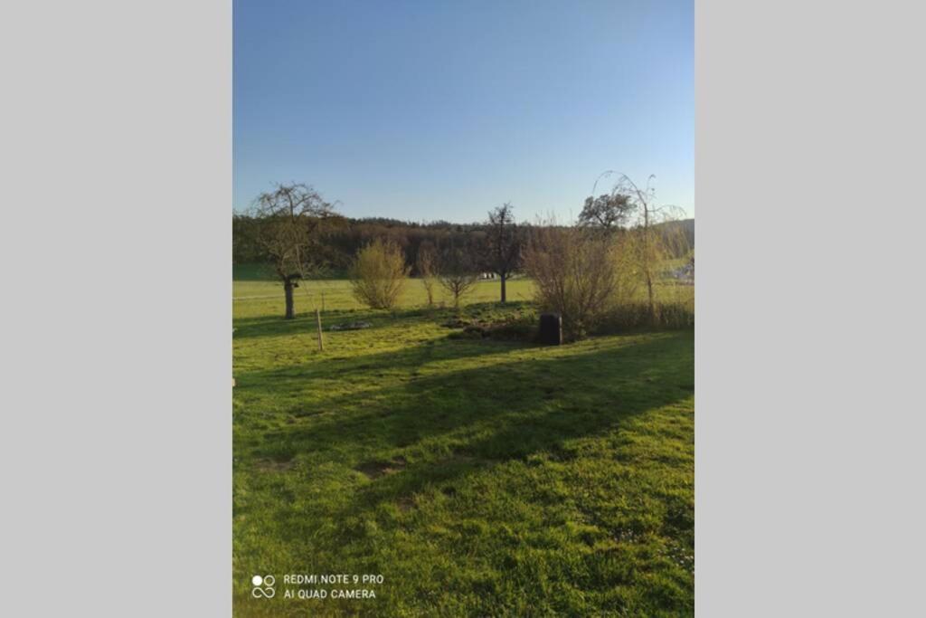 Schoene Helle Ferienwohnung In Waldnaehe Berching Exteriér fotografie