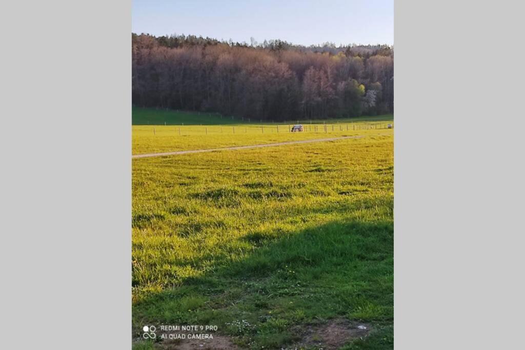 Schoene Helle Ferienwohnung In Waldnaehe Berching Exteriér fotografie