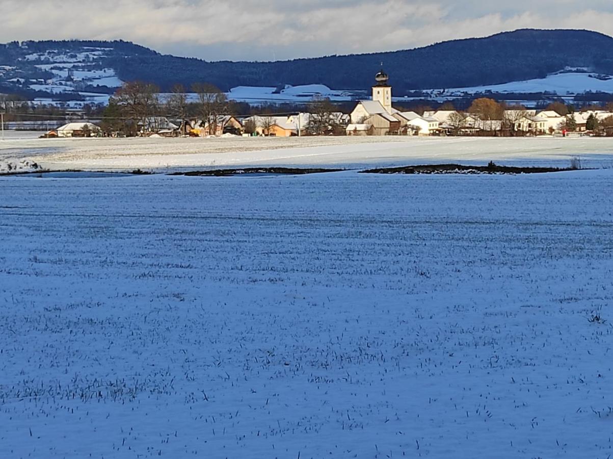 Schoene Helle Ferienwohnung In Waldnaehe Berching Exteriér fotografie